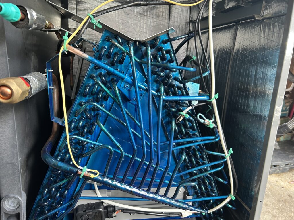 IMG_0488.jpeg